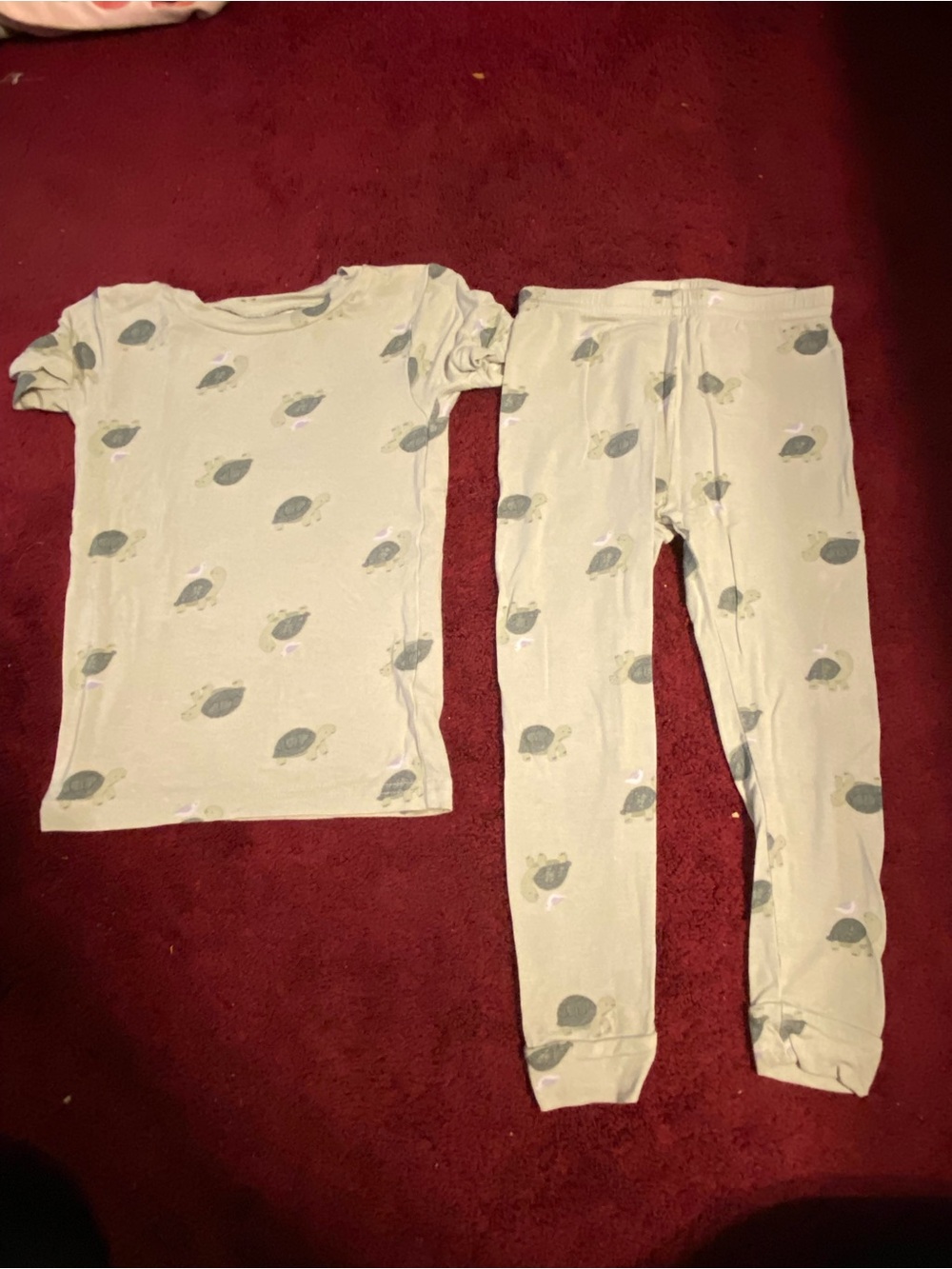 Carter's Sage Green Turtle Print Two-Piece Pajama Set